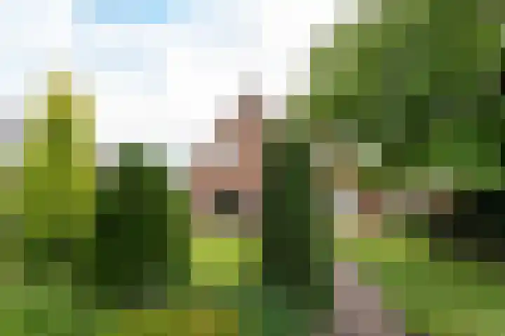 De Korenkamp 27 Bornerbroek thumbnail 38