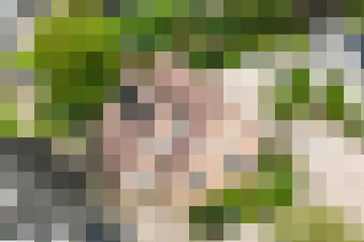 De Korenkamp 27 Bornerbroek thumbnail 4