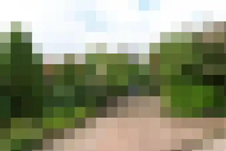 De Korenkamp 27 Bornerbroek thumbnail 42