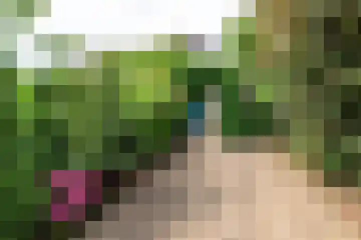De Korenkamp 27 Bornerbroek thumbnail 43