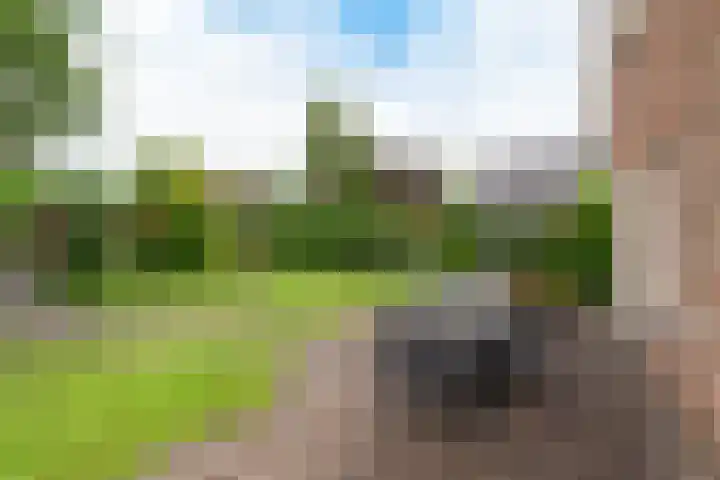 De Korenkamp 27 Bornerbroek thumbnail 45