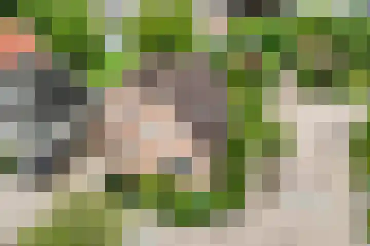 De Korenkamp 27 Bornerbroek thumbnail 5