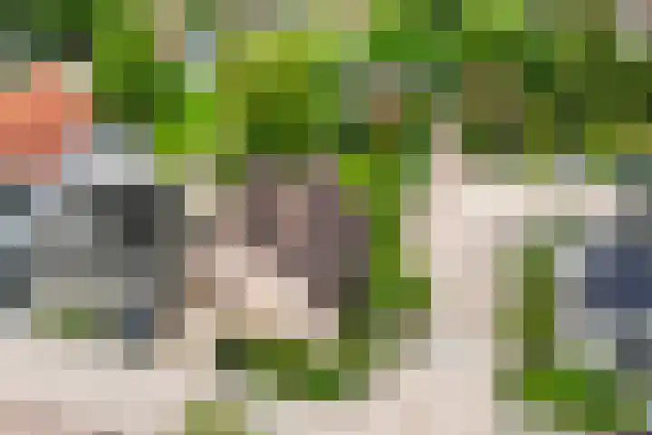 De Korenkamp 27 Bornerbroek thumbnail 6