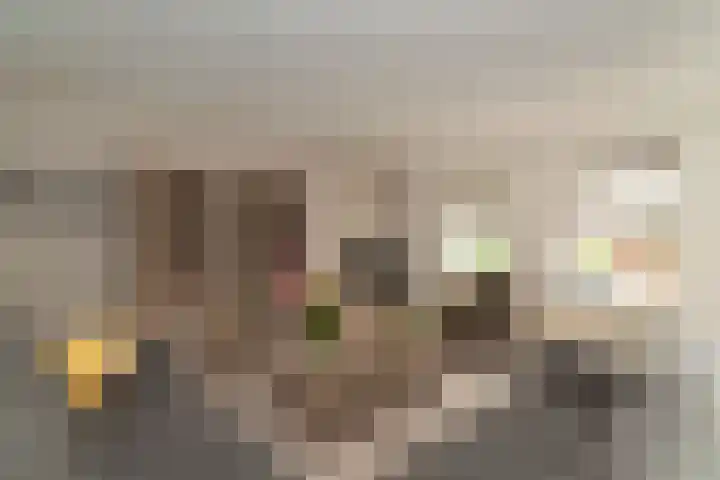 De Korenkamp 27 Bornerbroek thumbnail 7