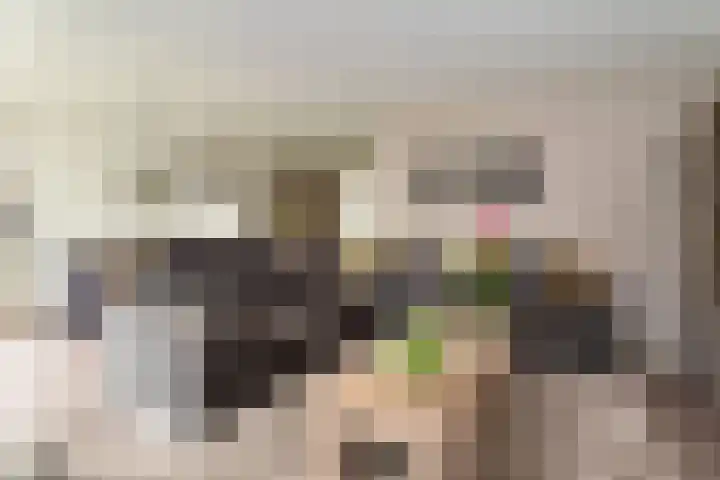 De Korenkamp 27 Bornerbroek thumbnail 9