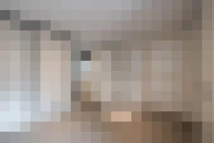 De Korenkamp 8 Bornerbroek thumbnail 16