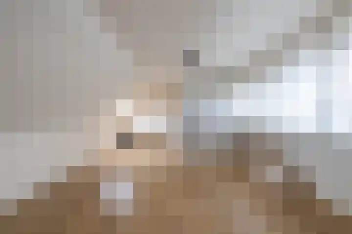 De Korenkamp 8 Bornerbroek thumbnail 30