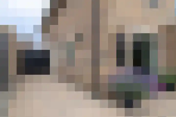 De Korenkamp 8 Bornerbroek thumbnail 38