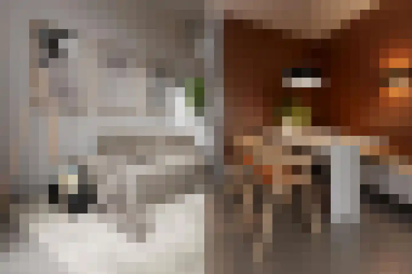 De Korenmolen 21 Gameren thumbnail 4