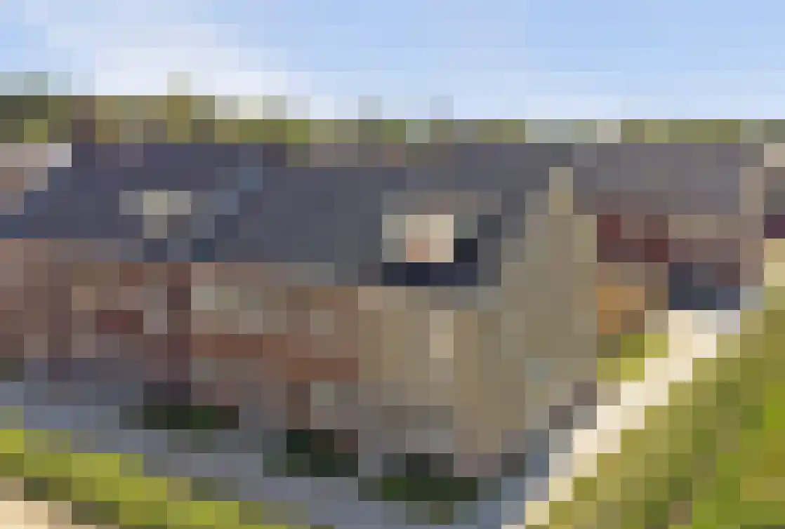 De Korenmolen 28 Gameren