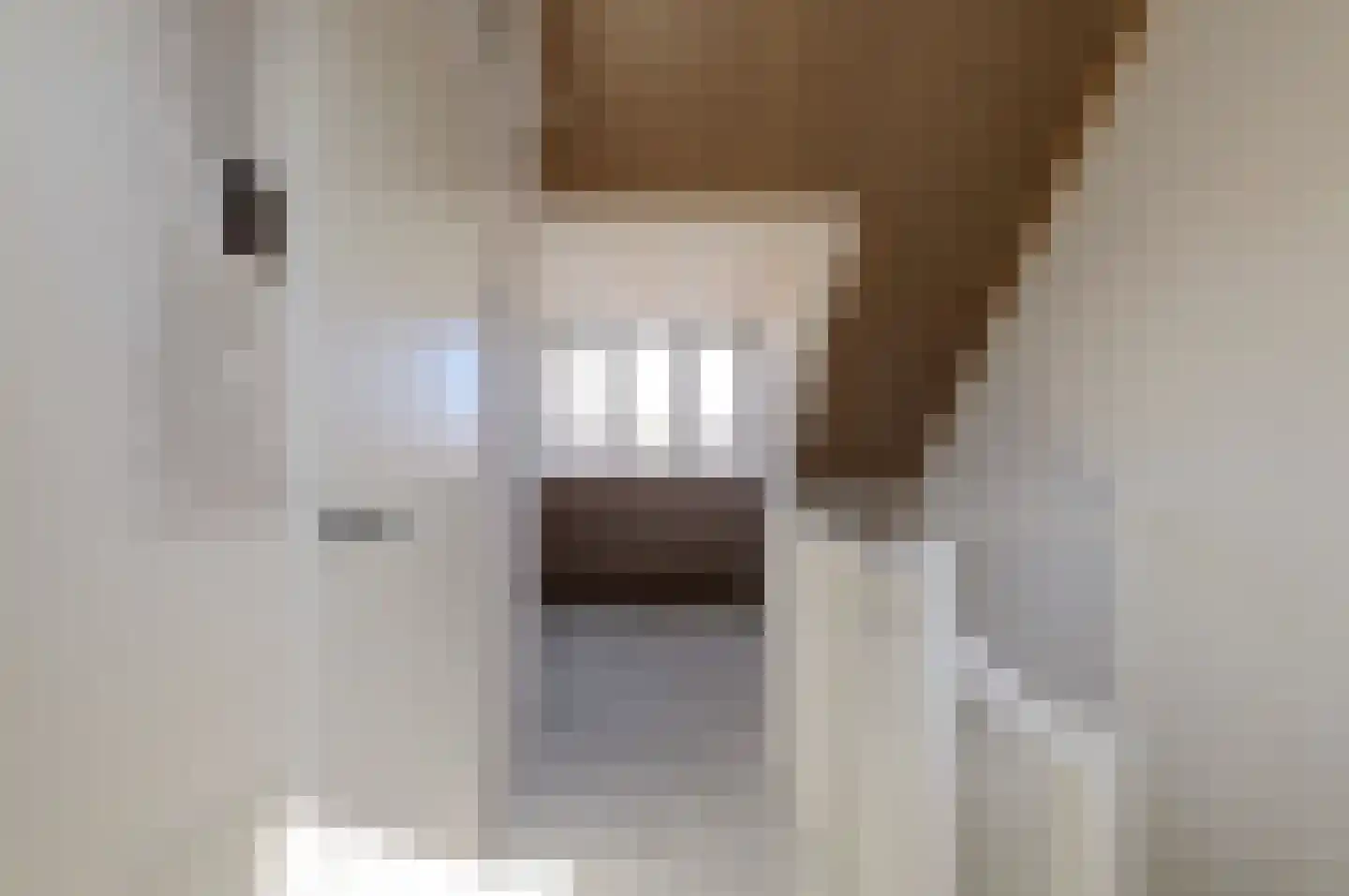 De Korenmolen 28 Gameren thumbnail 21