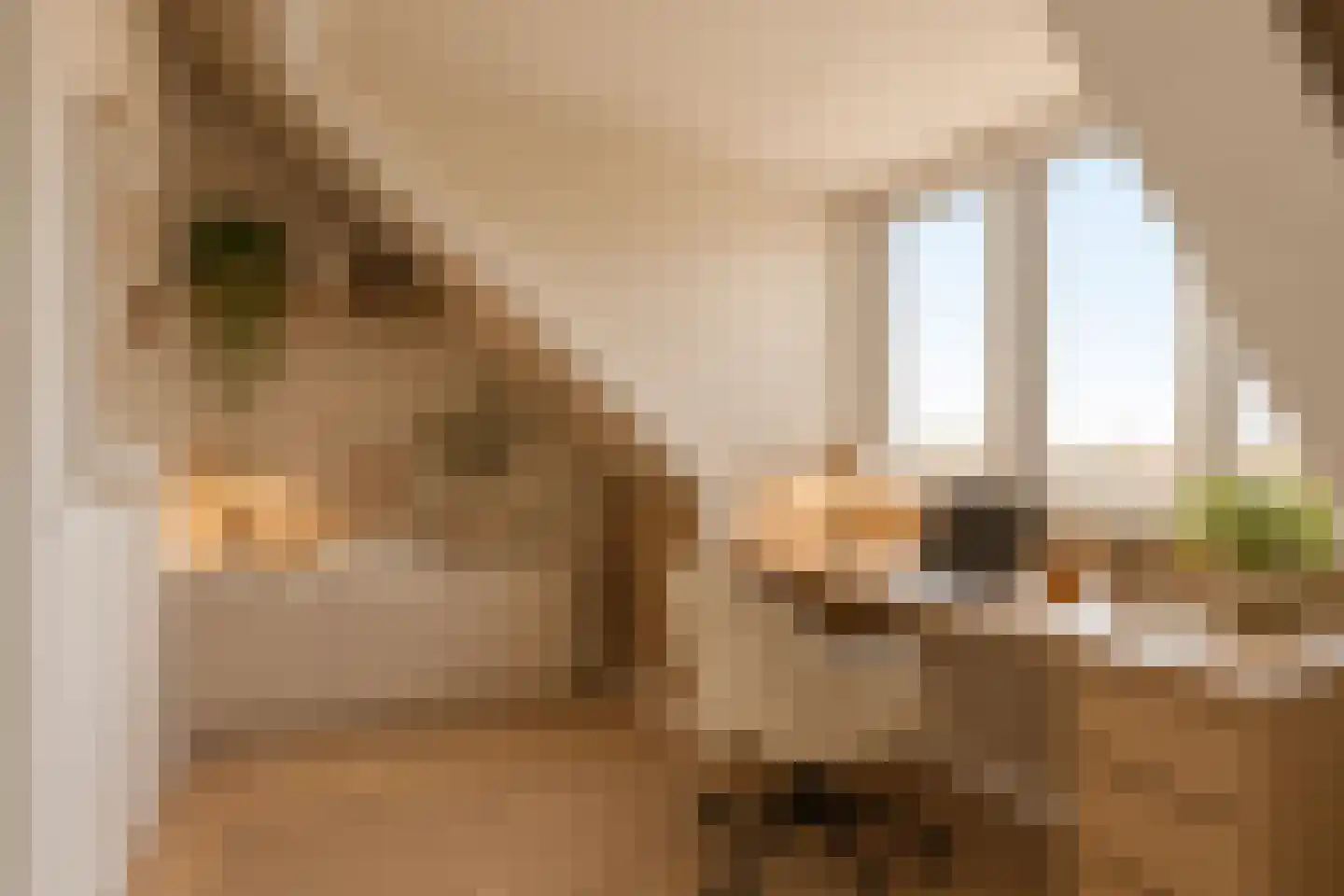 De Korenmolen 28 Gameren thumbnail 24
