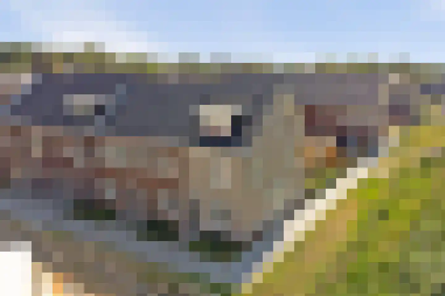 De Korenmolen 28 Gameren thumbnail 31