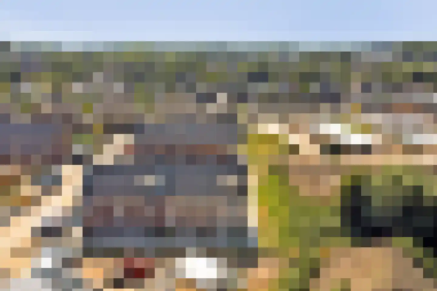 De Korenmolen 28 Gameren thumbnail 32