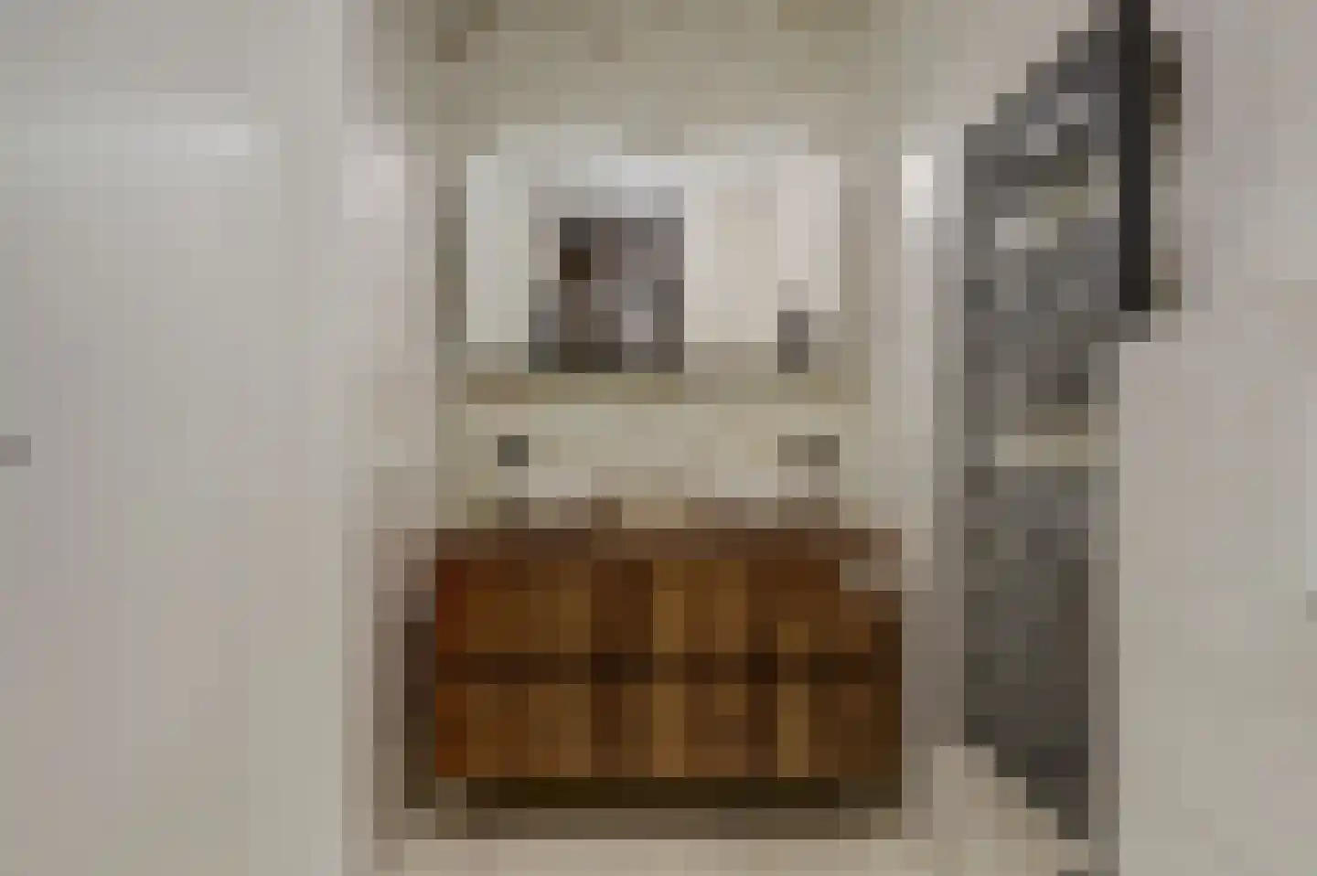 De Korenmolen 28 Gameren thumbnail 4