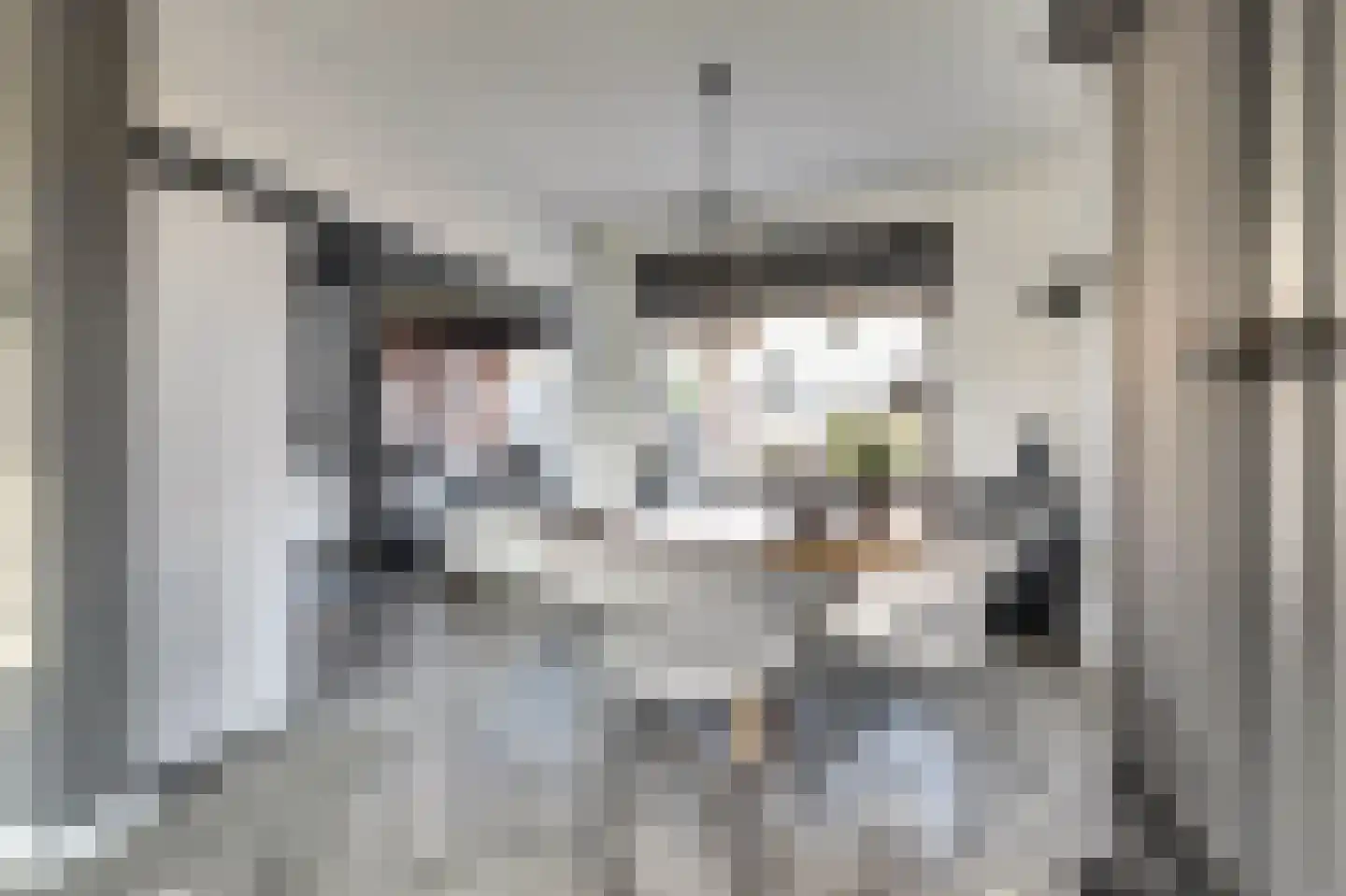 de Korf 23 Bemmel thumbnail 13