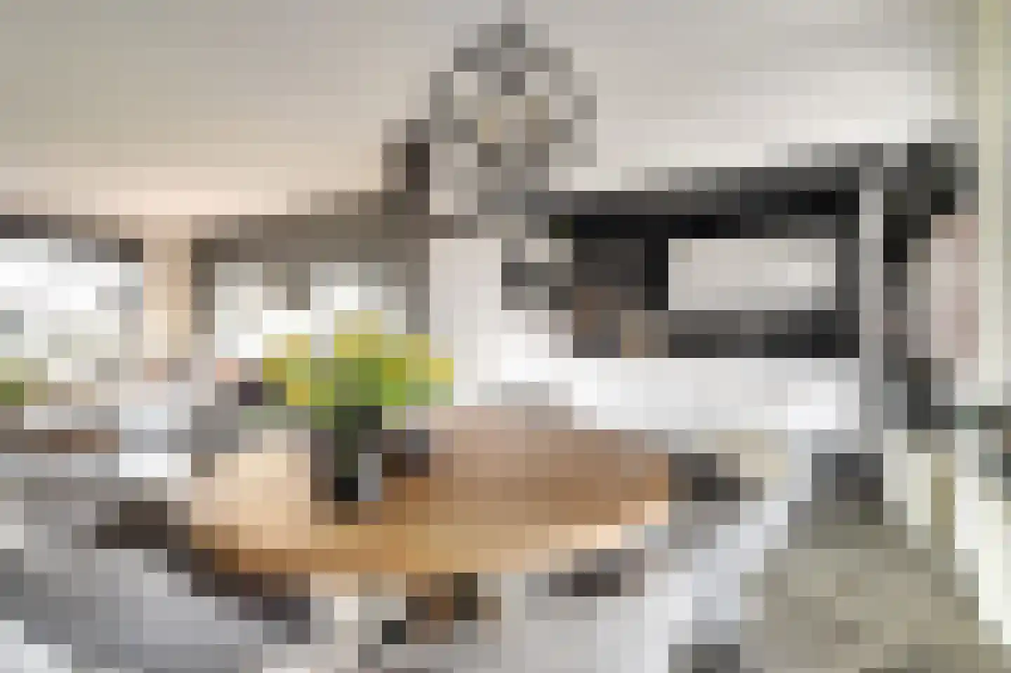 de Korf 23 Bemmel thumbnail 14