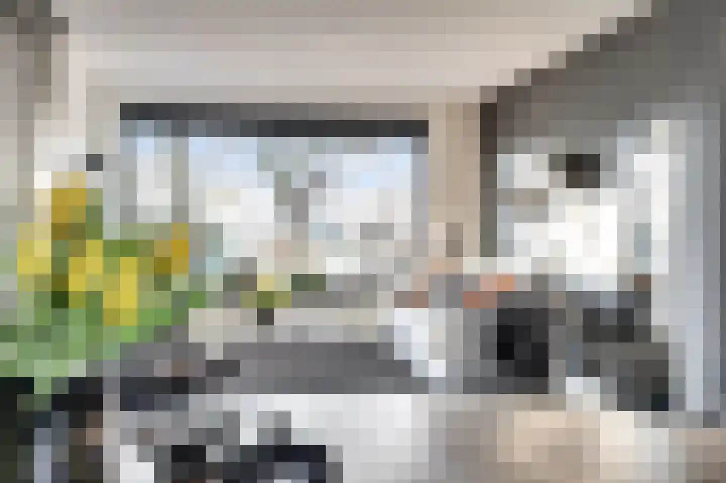 de Korf 23 Bemmel thumbnail 15