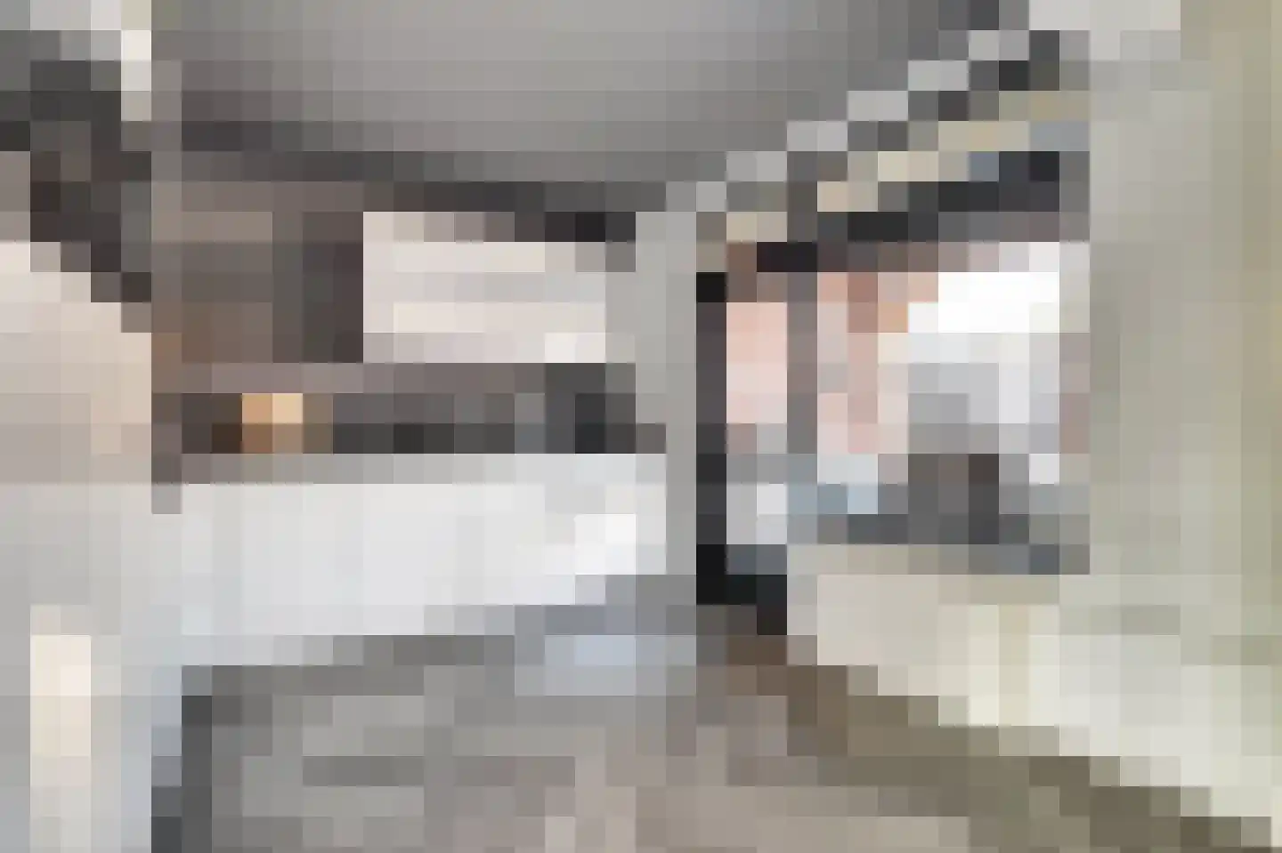 de Korf 23 Bemmel thumbnail 17