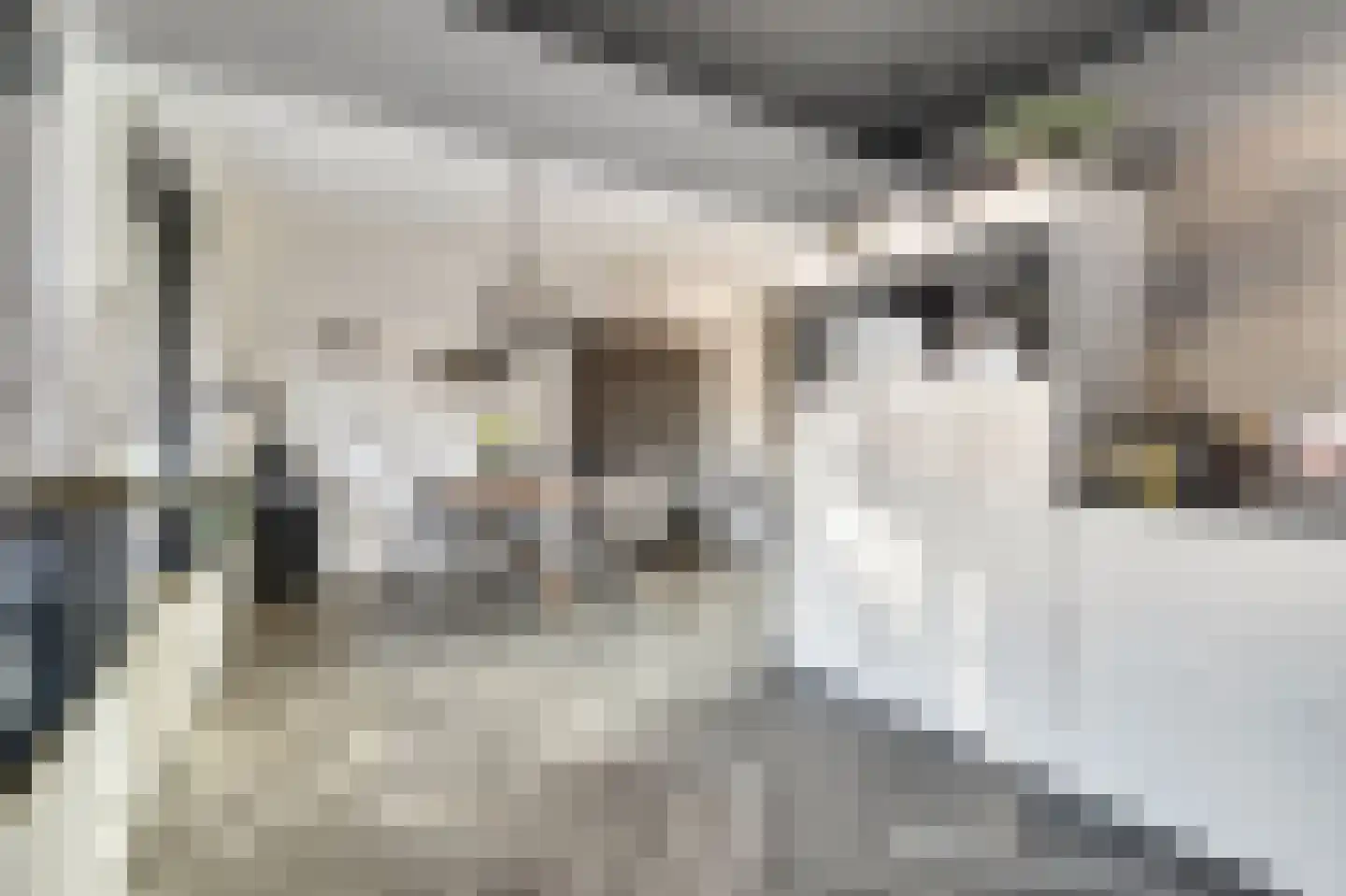 de Korf 23 Bemmel thumbnail 18