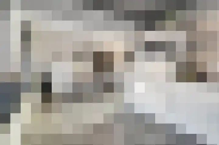 de Korf 23 Bemmel thumbnail 18