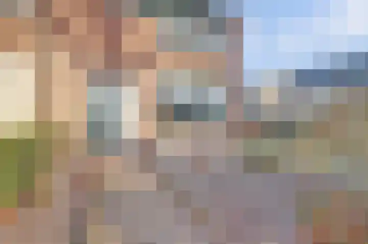 de Korf 23 Bemmel foto 2