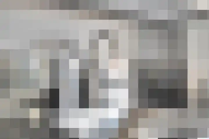 de Korf 23 Bemmel thumbnail 20