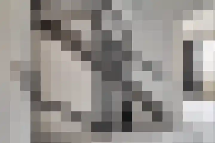 de Korf 23 Bemmel thumbnail 36