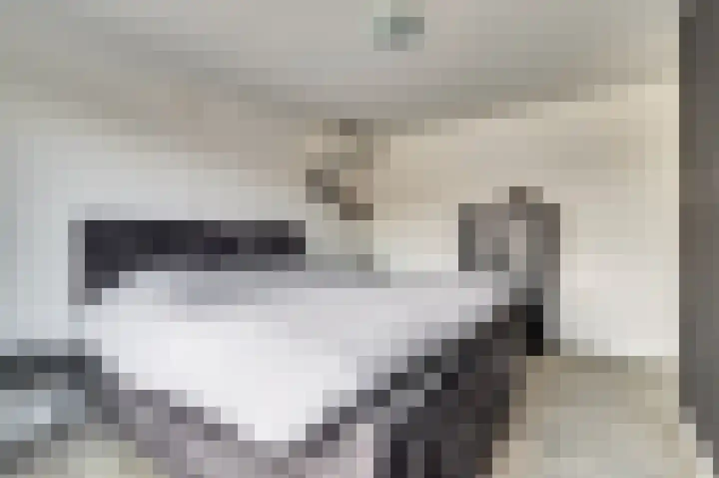 de Korf 23 Bemmel thumbnail 38