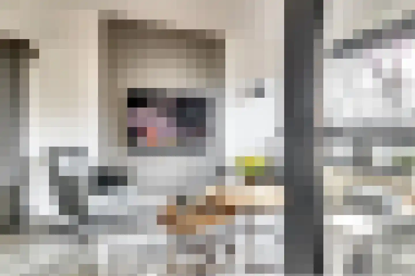 de Korf 23 Bemmel thumbnail 6