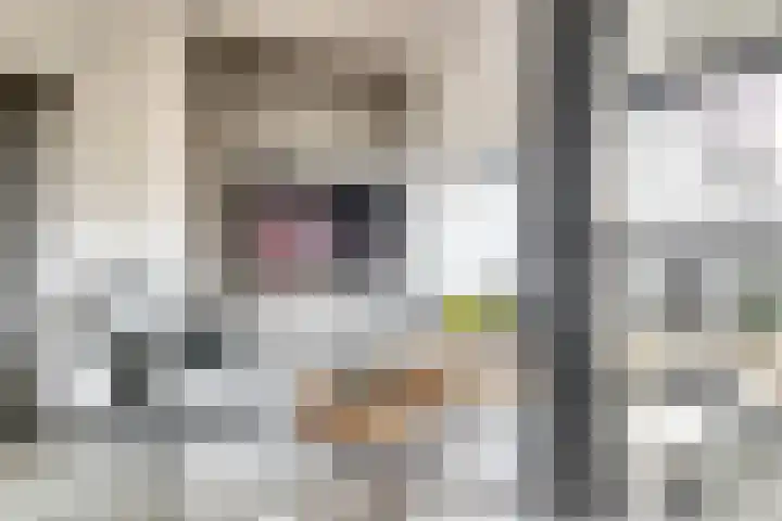 de Korf 23 Bemmel thumbnail 6