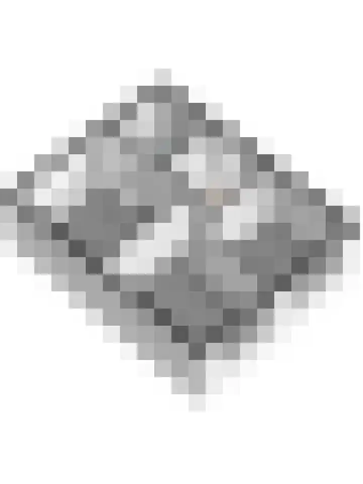 de Korf 23 Bemmel thumbnail 60
