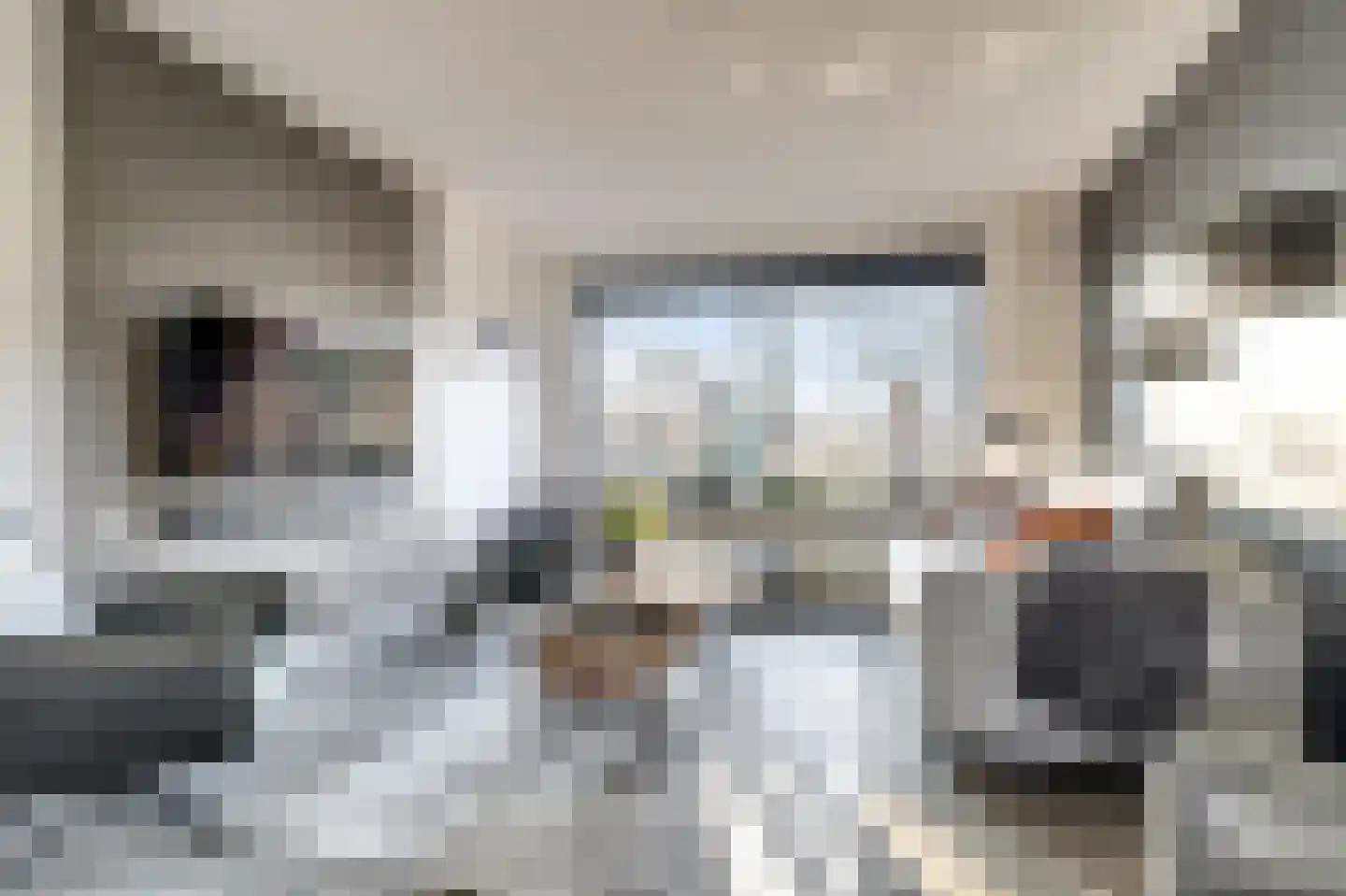 de Korf 23 Bemmel thumbnail 7