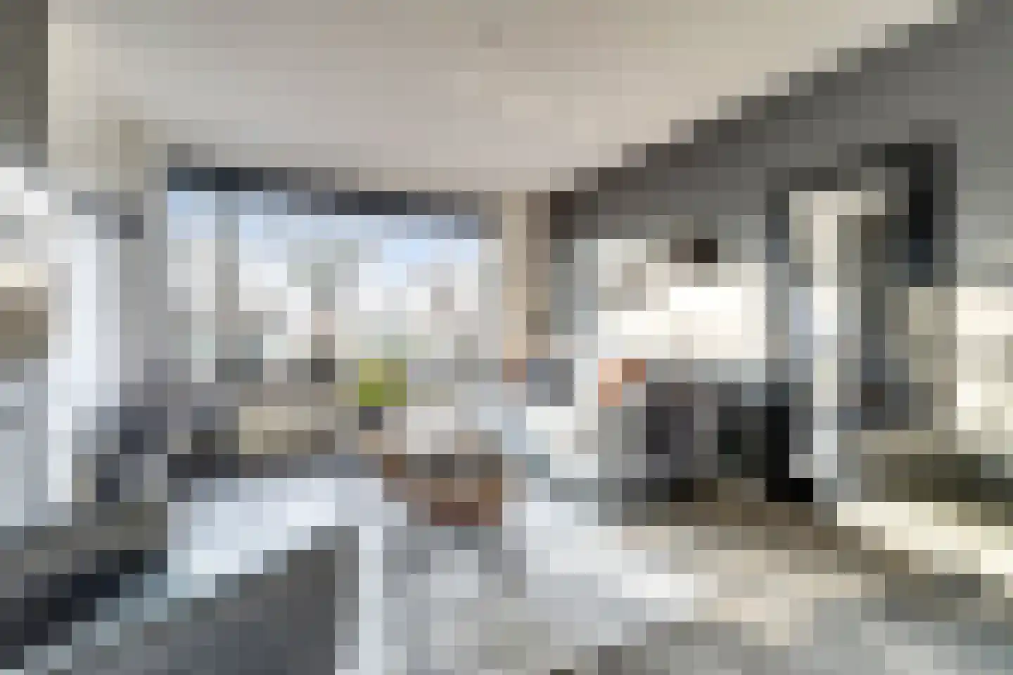 de Korf 23 Bemmel thumbnail 8