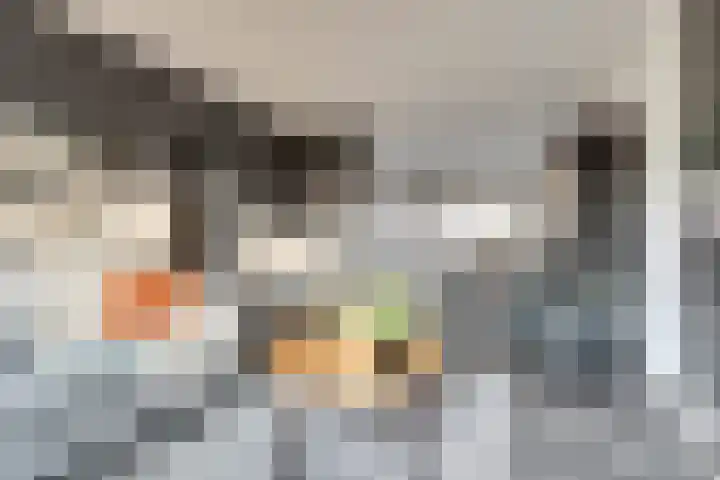 de Korf 23 Bemmel thumbnail 9