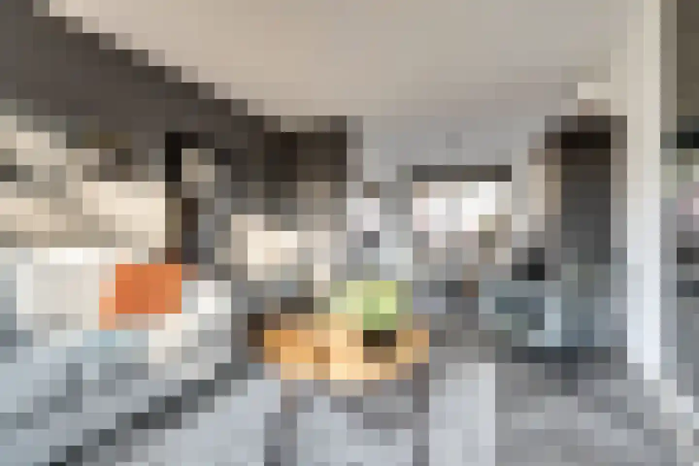 de Korf 23 Bemmel thumbnail 9