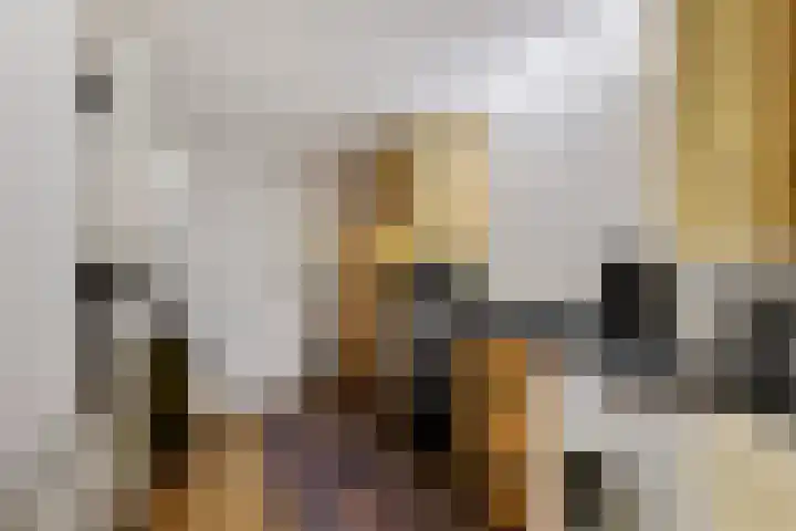 De Korrel 1 Erica thumbnail 14