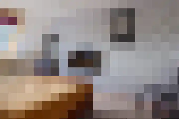 De Korrel 1 Erica thumbnail 20