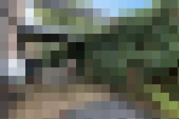De Korrel 1 Erica thumbnail 31