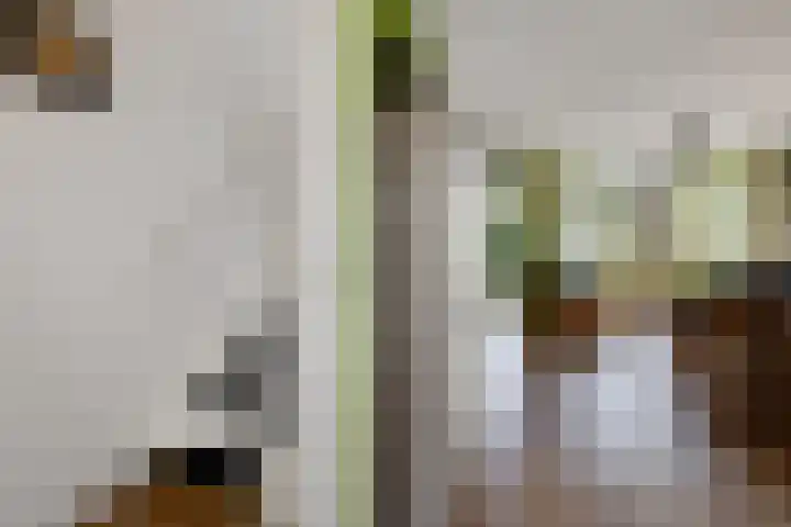 De Korrel 1 Erica thumbnail 5