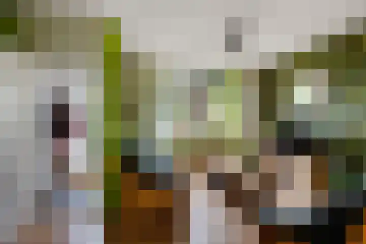 De Korrel 1 Erica thumbnail 8