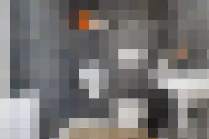 De Korrel 13 Erica thumbnail 14