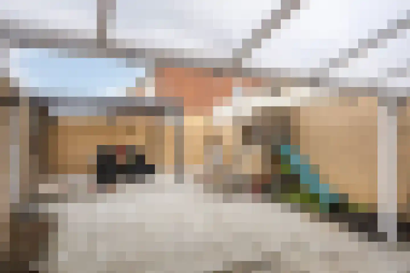 De Korte Beemdens 1 Wessem thumbnail 27