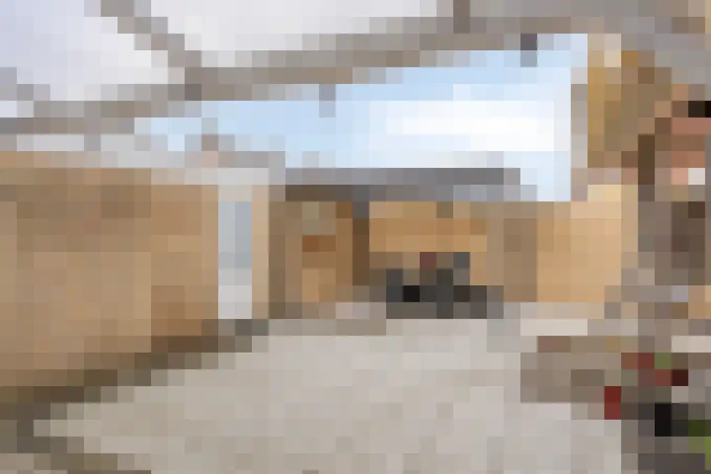 De Korte Beemdens 1 Wessem thumbnail 28