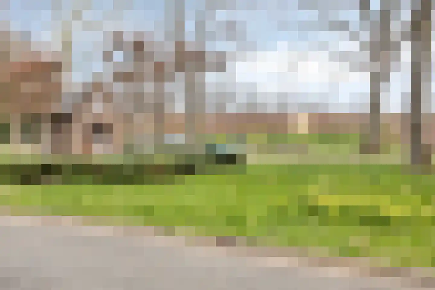 De Korte Beemdens 1 Wessem thumbnail 37
