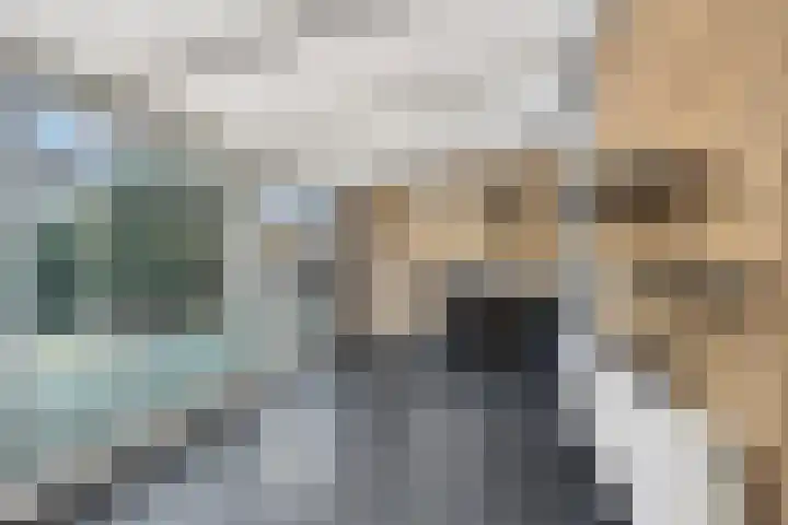 De Korte Beemdens 8 Wessem thumbnail 14