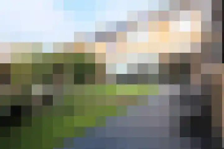 De Korte Beemdens 8 Wessem thumbnail 34
