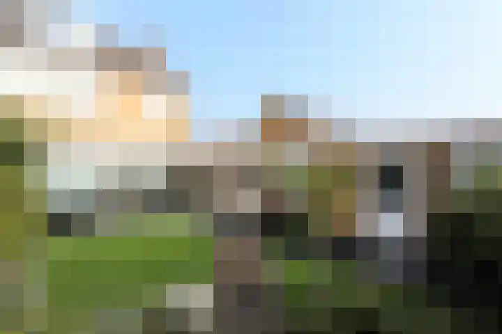 De Korte Beemdens 8 Wessem thumbnail 36
