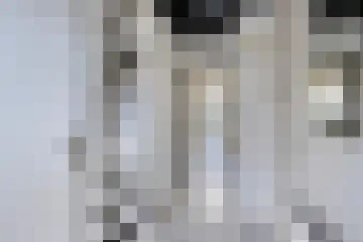 De Korte Beemdens 8 Wessem thumbnail 6