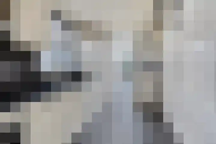 De Korte Beemdens 8 Wessem thumbnail 7